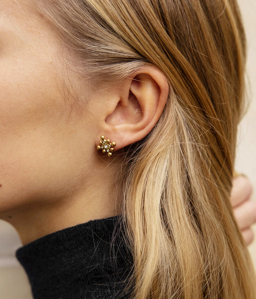Boucles d'oreilles Clara (Acier)