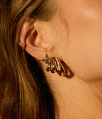 Boucles d'oreilles Leonardo (Acier)