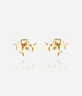 Boucles d'oreilles Massimo (Acier doré)