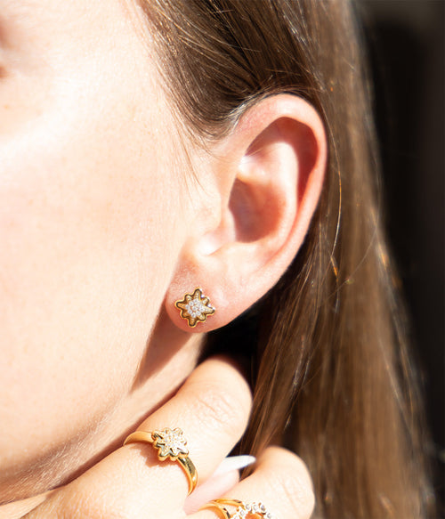 Boucles d'oreilles Acilia (Acier doré)