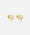 Boucles d'oreilles Alvéria (Acier doré)