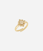 Bague Acilia (Acier doré)